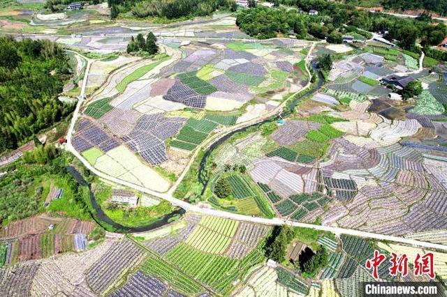 福建闽侯：俯瞰蔬菜种植基地 宛如大地调色板