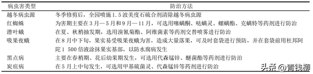 提升宁德蕉城区杂柑产量的新种植技术‘爱媛28号’栽培技巧