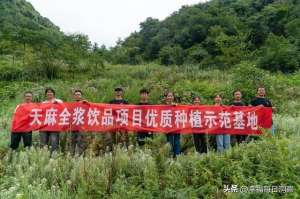 楚雄天麻种植论文(「返乡大学生创业项目」独摇之农业生物科技（南京）)