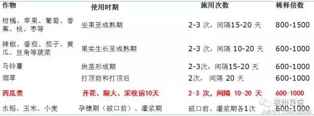 西瓜全程种植技术方案