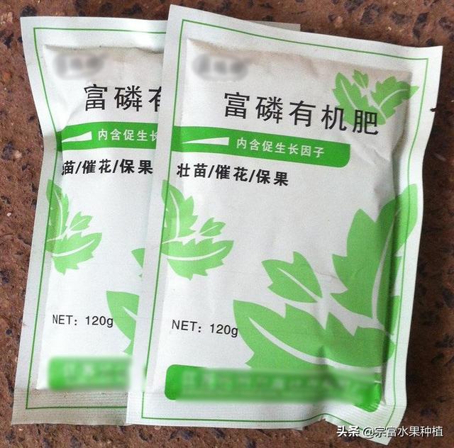 栽植杨梅树，如何才能优质丰产？掌握氮磷钾肥使用量果实要不完