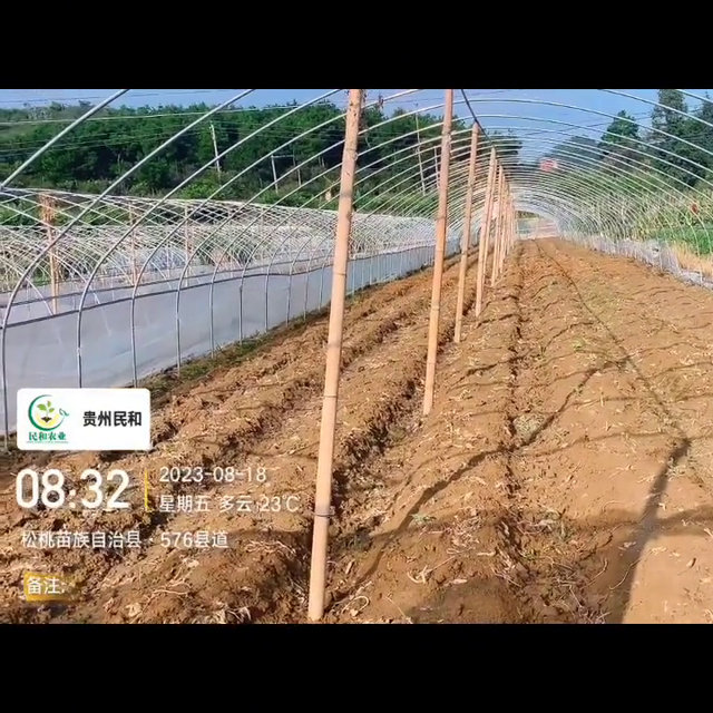 草莓种植，技术深奥；视频太短不能讲的面面俱到，可流言交流