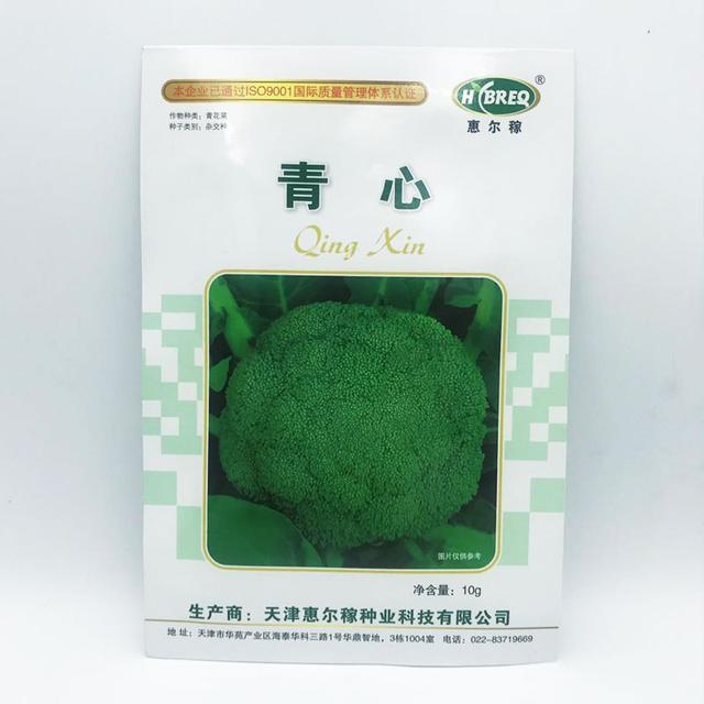 定植后65天左右就能收获！想种早熟西兰花的朋友，赶紧看看