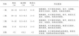 辣木 种植(基金项目：辣木种子苗繁育技术操作规程)