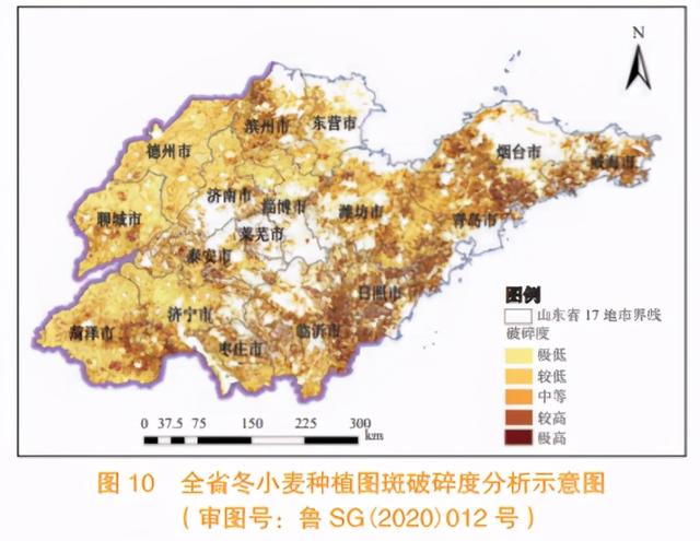 省域冬小麦种植面积监测分析方法与应用