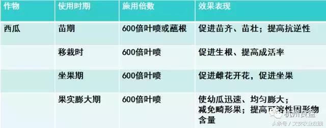 西瓜全程种植技术方案