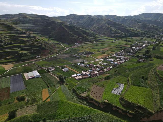 致力种质研究 打造宕昌黄芪种质新标杆——甘肃宕昌县大东山中药材农民专业合作社负责人温成娃采访侧记