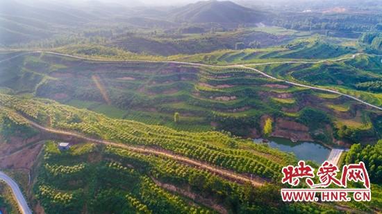 南召县崔庄乡：中药材种植成为山区群众“致富宝”