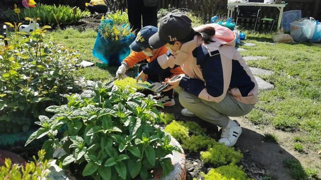 把春天“种出来”，宝山这里举行亲子种植活动