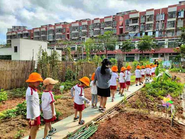 福城街道大水坑社区社校联动，开展儿童自然科普教育及种植体验活动