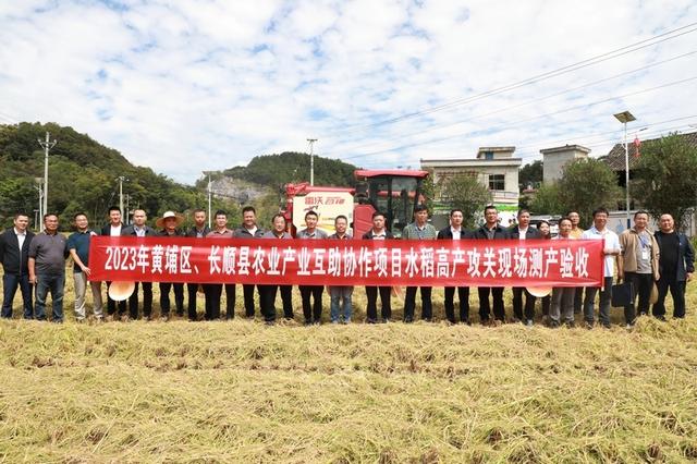 长顺：水稻超高产攻关基地测产验收 最高亩产达1045.9公斤