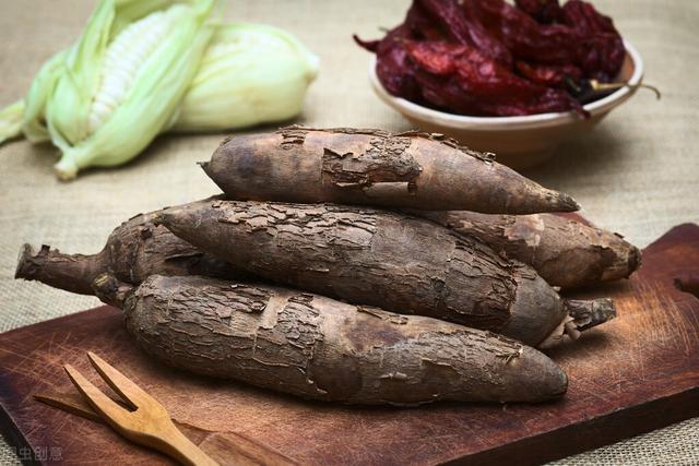 被称为“淀粉之王”的木薯该如何种植？