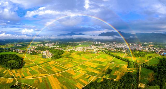 让小种子迸发大能量，穗种如何做强“广州芯”？