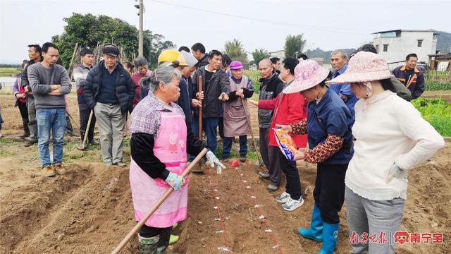 春天抢抓农时播种 南宁积极推进大豆玉米带状复合种植