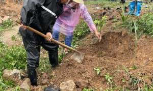 河源种植果树(省农科院果树所送技术下乡，建议村民改种优质水果)