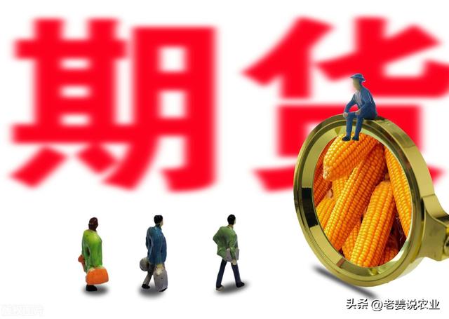 玉米市场有大“麻烦”，但却是好事，2023年9月25日玉米价格行情