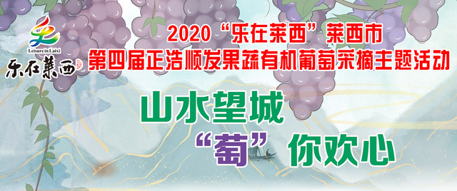 「山水望城·“萄”你欢心」黄白色、皮薄肉脆的葡萄，您见过吗？