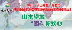 黑巴拉多葡萄种植视频(「山水望城·“萄”你欢心」黄白色、皮薄肉脆的葡萄，您见过吗？)