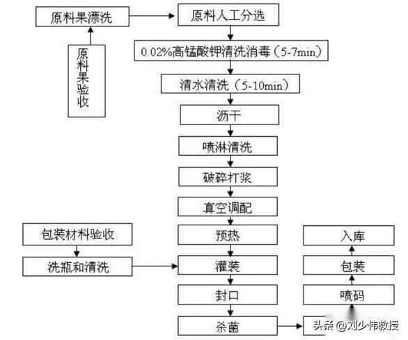 黑色水果——黑加仑