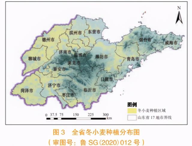 省域冬小麦种植面积监测分析方法与应用