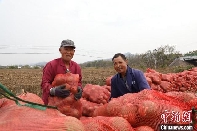 江西彭泽：瓜蒌丰收助农民增收