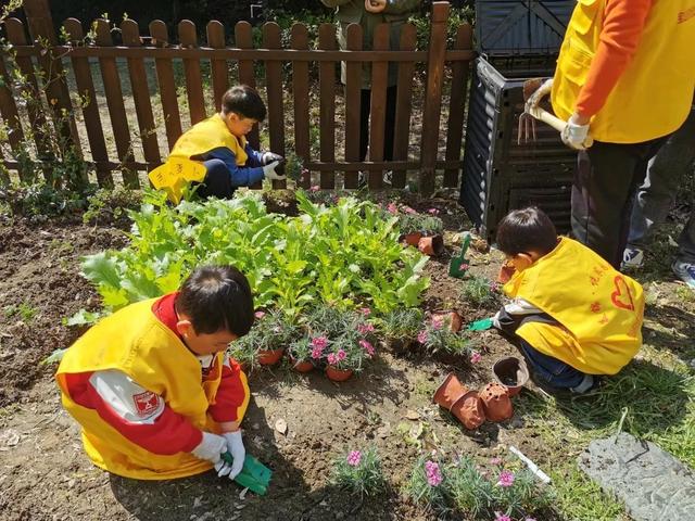 把春天“种出来”，宝山这里举行亲子种植活动