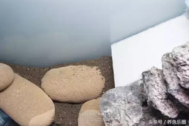 草缸想做悬空造景？看这位大神的做法，你的草缸也可以快速搞定！