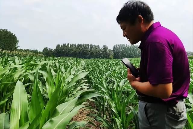 现在有多少年轻人不知道农作物的种植时间？