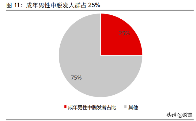 植发行业研究报告：渠道先行，品牌接力