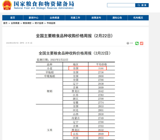 一份真实的种地账本：回村包300亩地种粮食能赚钱么？