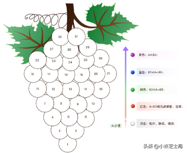 有机种植葡萄树的葡萄品质，在科尼亚省温带气候，葡萄会如何生长