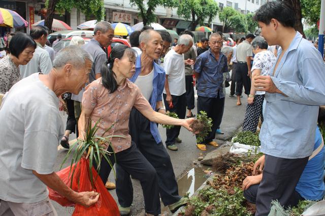 端午将至，对广西恭城瑶乡审时度势布局健康产业的初衷给予点赞