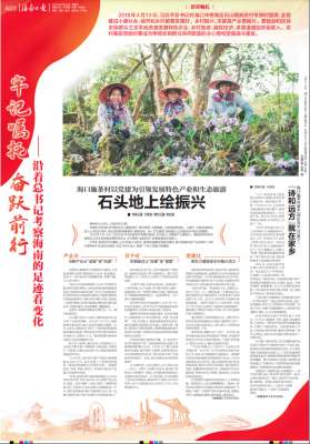 霍山石斛种植基地(海南这个村的石头会“开花”，还能“生钱”……)