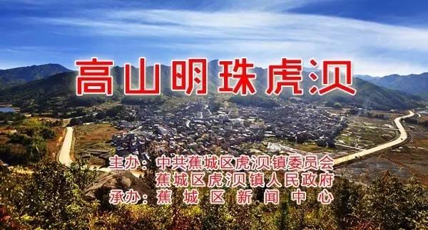 助农丨让“银耳子”变“金收入”，这个小镇年产银耳达8万多斤！