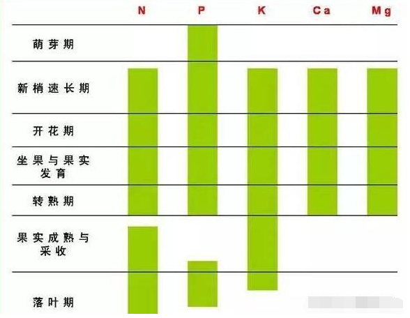 99%的葡萄种植户看完必收藏！5个必备葡萄种植技术常识！