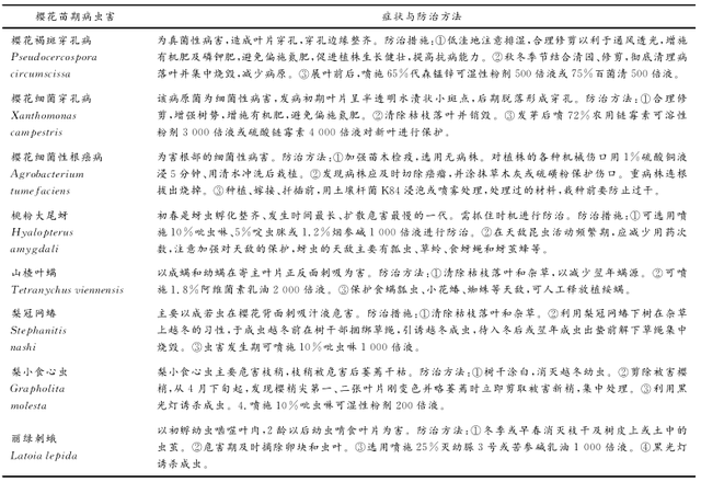 樱花嫁接育苗技术规程