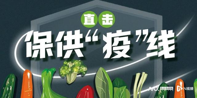 青菜成广州双十一爆款，蔬菜基地一天送货两次，还从云南调货