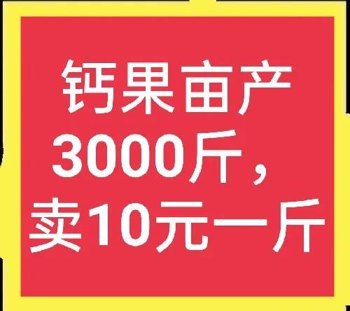 优秀水果大分享——钙果，它到底有什么优点，为什么能卖这么贵？