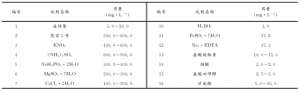 种植套袋(金线莲套袋种植方法及种质保存管理)