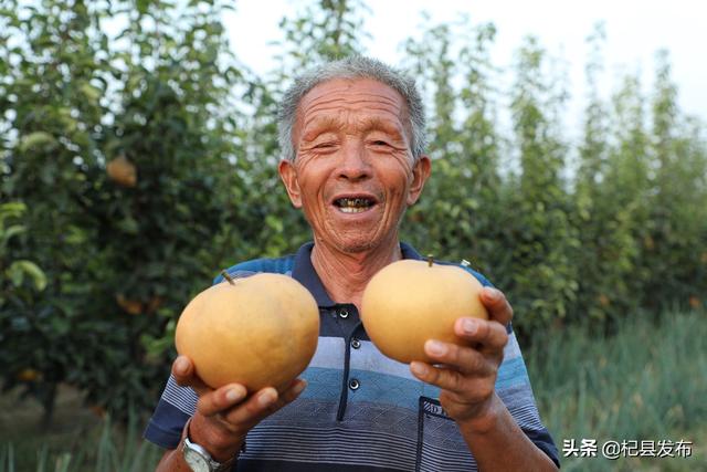 河南杞县：官庄乡大力种植特色农作物 撑鼓了农民的腰包