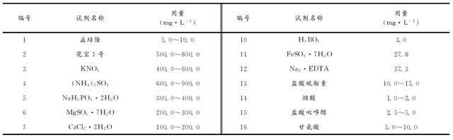 金线莲套袋种植方法及种质保存管理