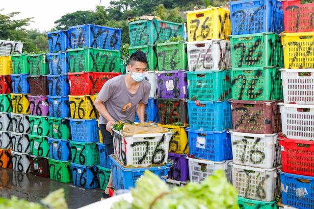 夏季时蔬争“鲜”上市！大暑时节深圳农批商超供应忙