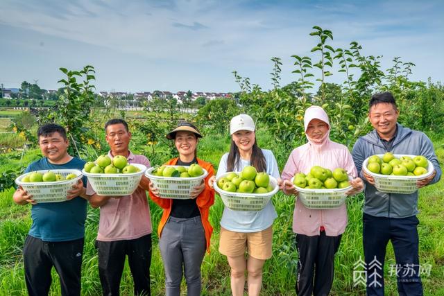 【绽放在乡村振兴路上的笑脸】南京溧水晶桥镇：谱好特色现代农业和乡村旅游“融合”曲