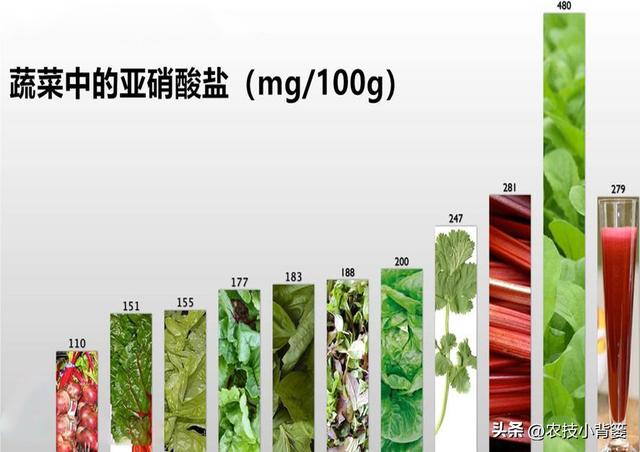 种植速生绿叶蔬菜施肥要谨慎，避免亚硝酸盐含量过高危害饮食安全