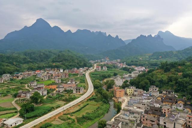 贵港这里藏着“广西盆景第一村”！年销售盘景8000多万元