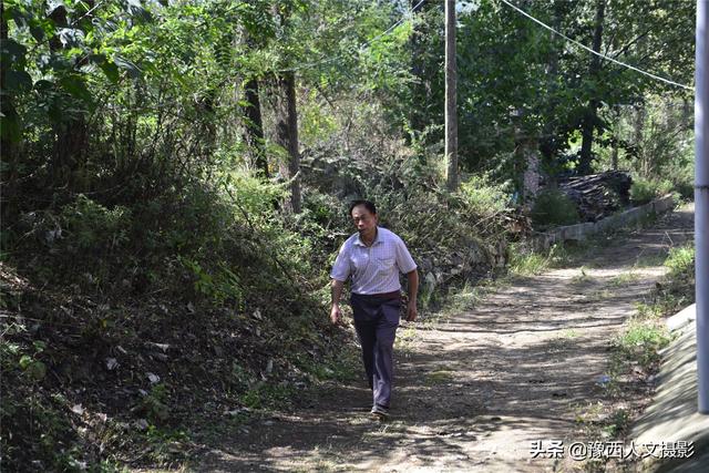 河南农民种植“北方白香蕉”，从野生到大田培育成功，耗时8年