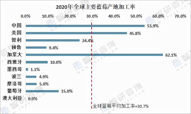 2020年全球蓝莓种植情况分析：中国已成为全球最大的蓝莓种植地