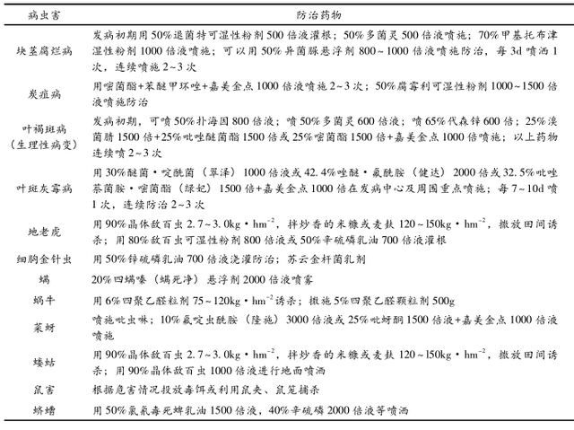 白及的特征特性与栽培技术