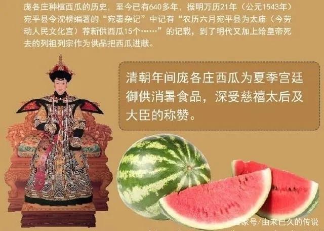 “甜蜜的历史与未来：西瓜的起源、现代种植技术和丰产之路”