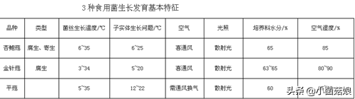 阳台上种蘑菇，怎么管理呢？